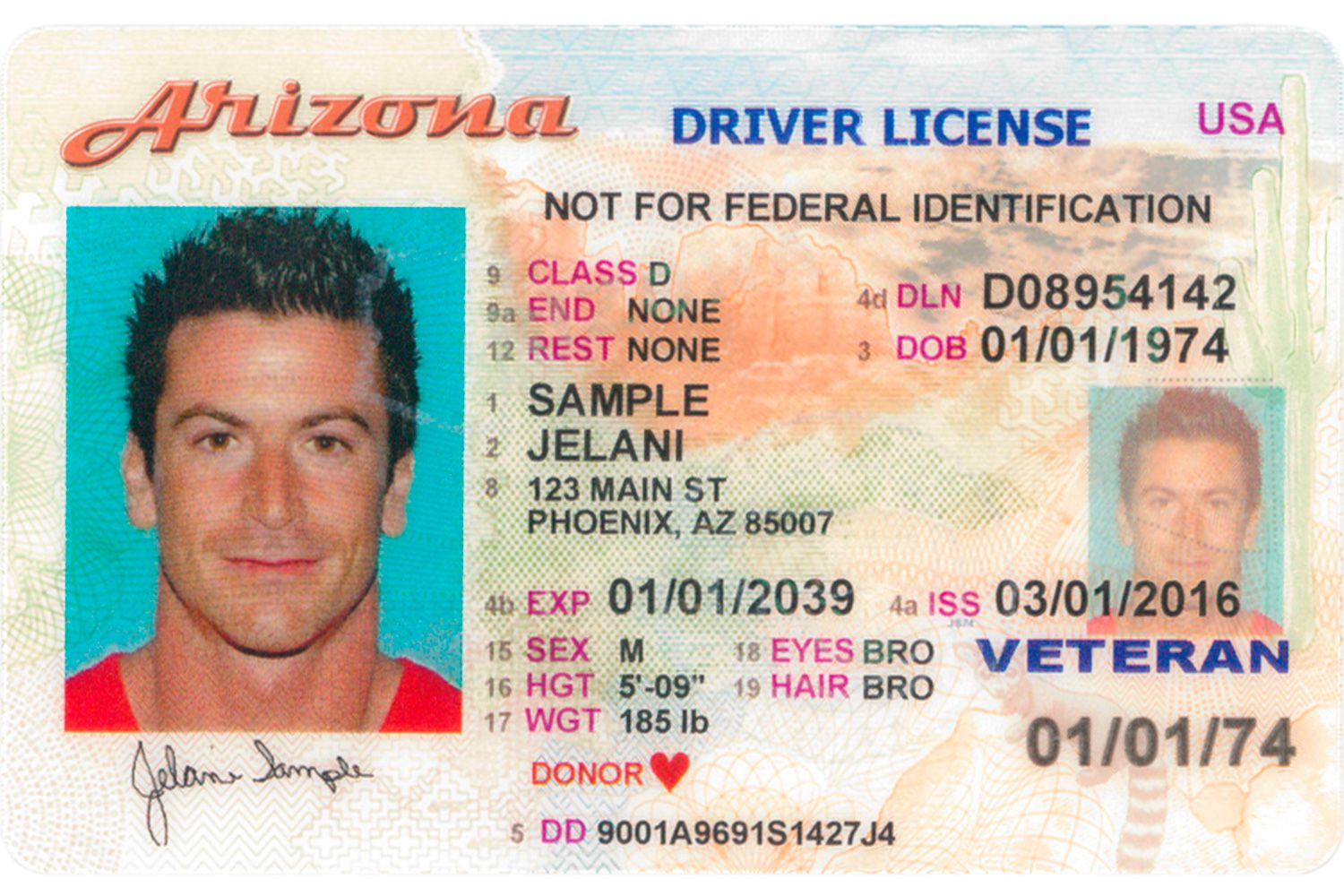 Document Number On Drivers License Ontario - belaverse
